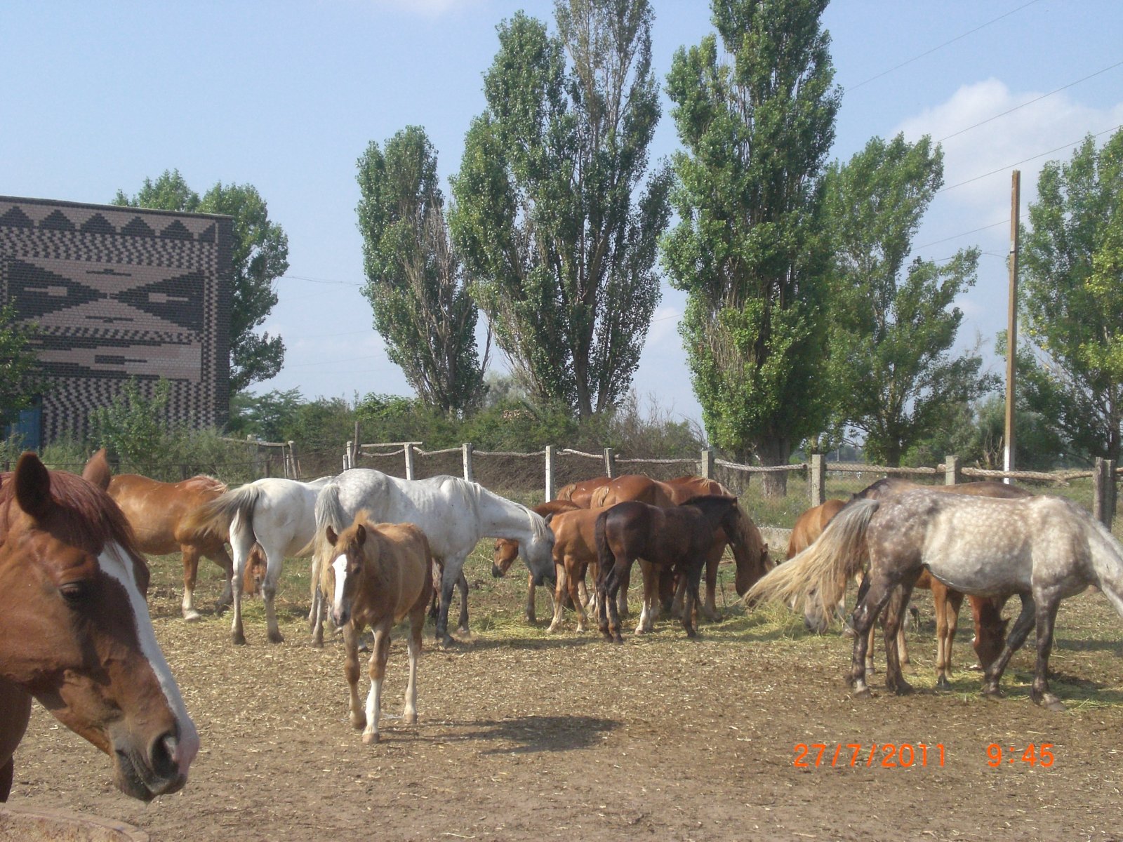 CIMG0029.JPG