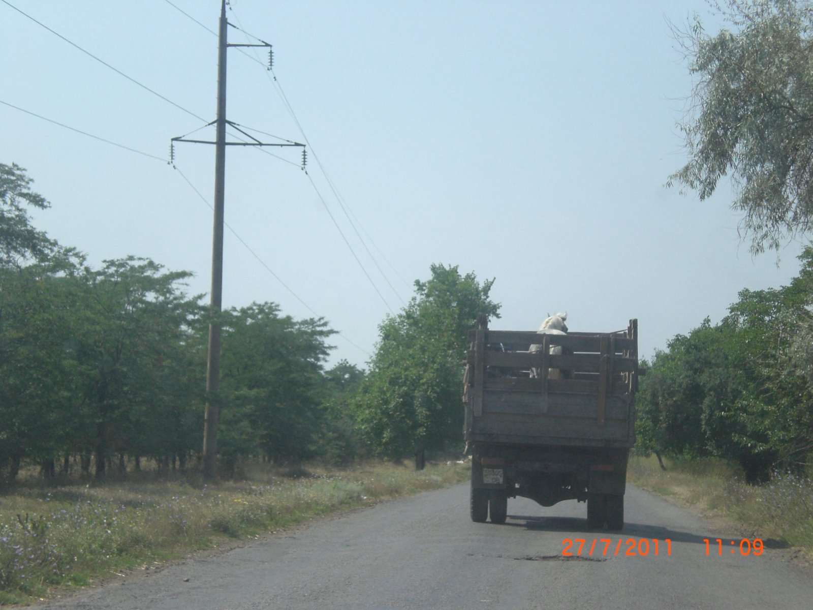 CIMG0047.JPG