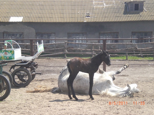 CIMG0049.JPG