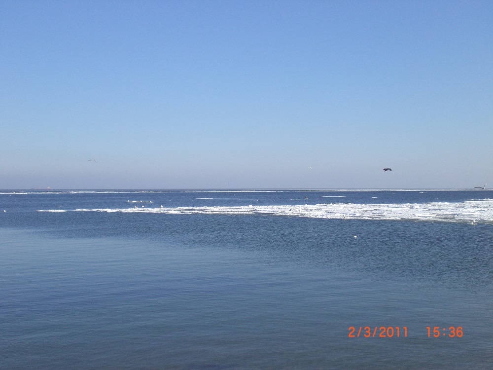 CIMG0050.JPG