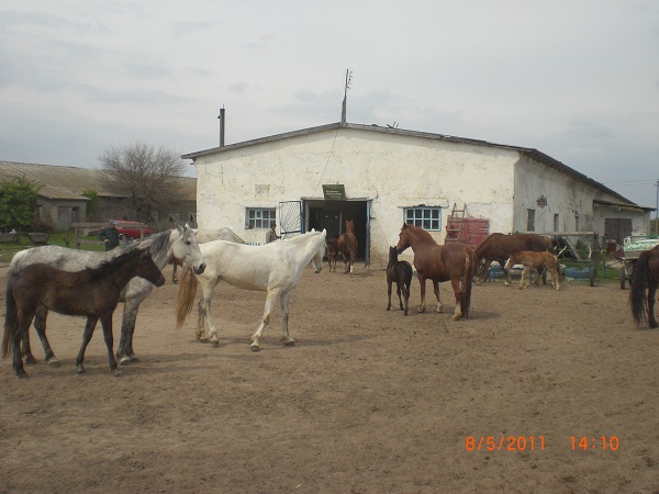 CIMG0054.JPG