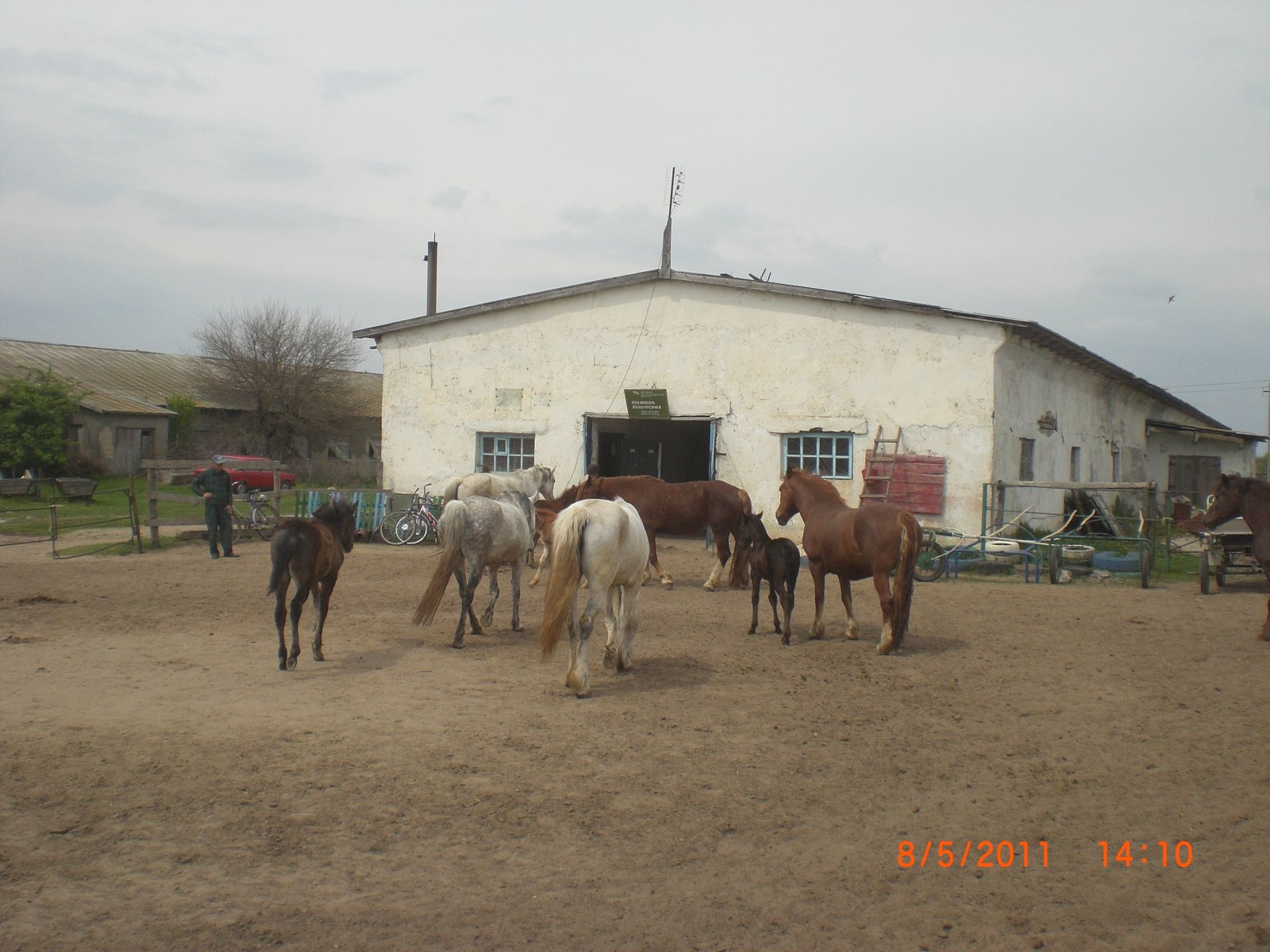CIMG0055.JPG