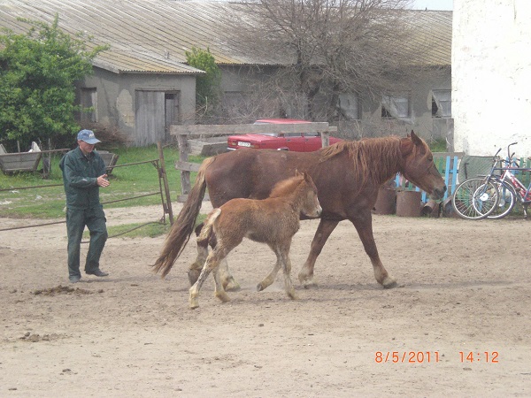 CIMG0063.JPG