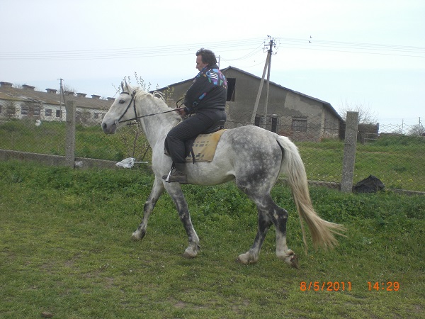 CIMG0064.JPG