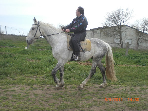 CIMG0066.JPG