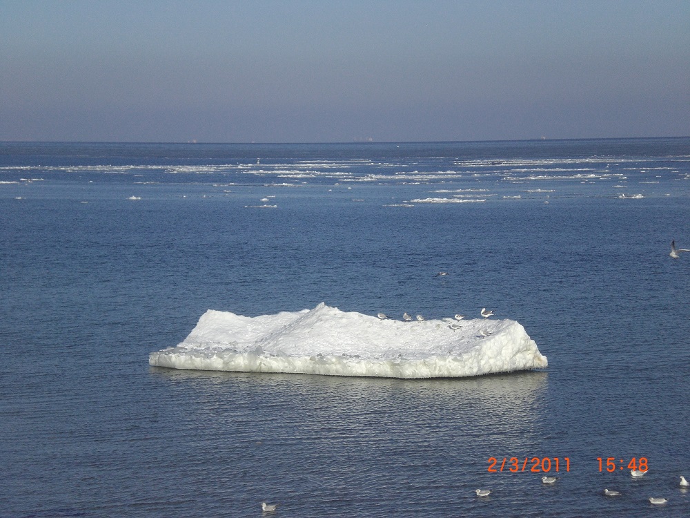 CIMG0067.JPG