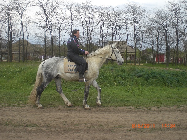 CIMG0072.JPG