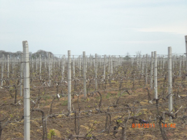 CIMG0078.JPG