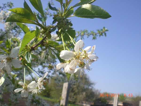 CIMG0084.JPG