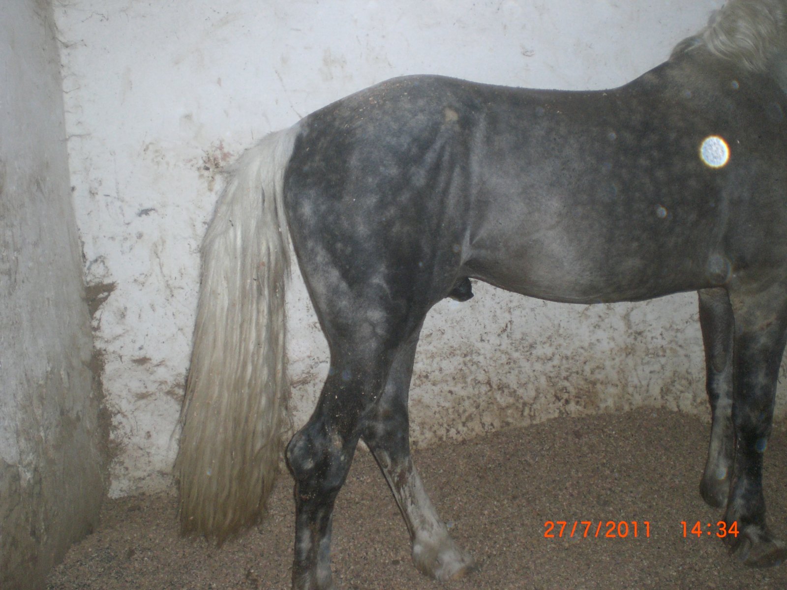 CIMG0092.JPG