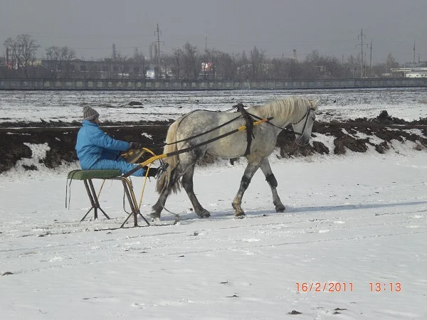 CIMG0098.JPG