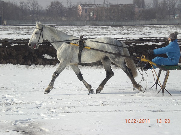 CIMG0106.JPG