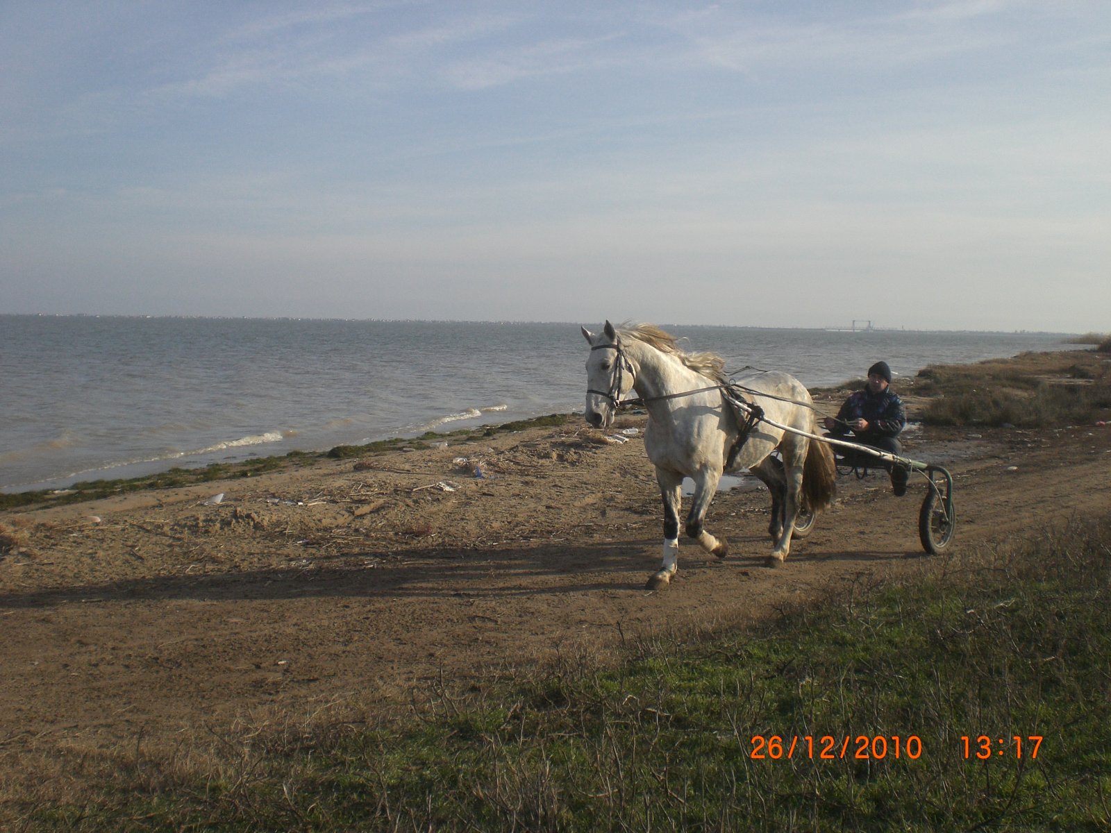 CIMG0506.JPG