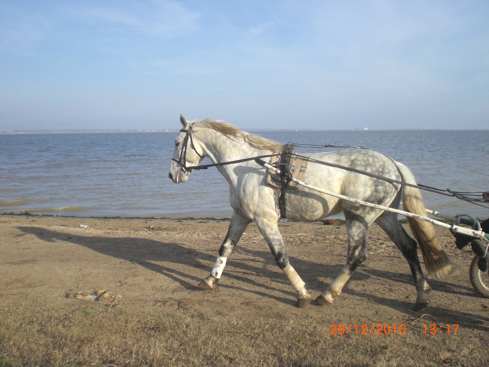 CIMG0507.JPG