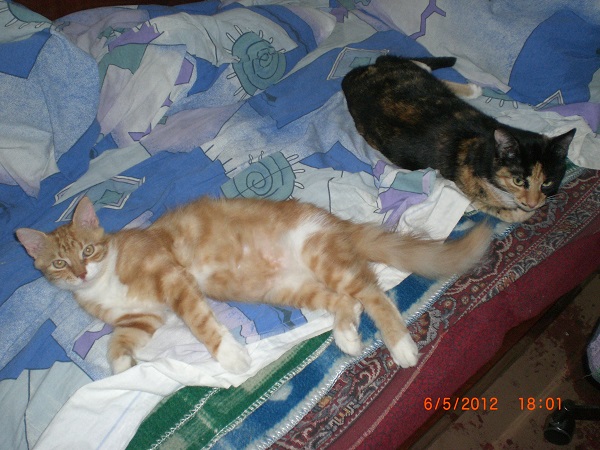 CIMG0577.JPG