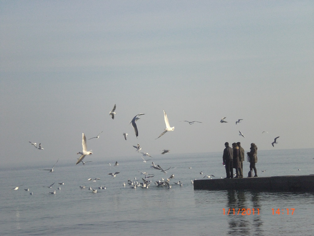 CIMG0597.JPG