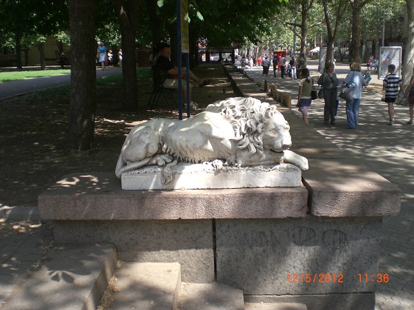 CIMG0618.JPG