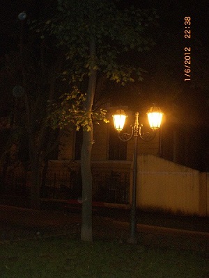 CIMG0784.JPG