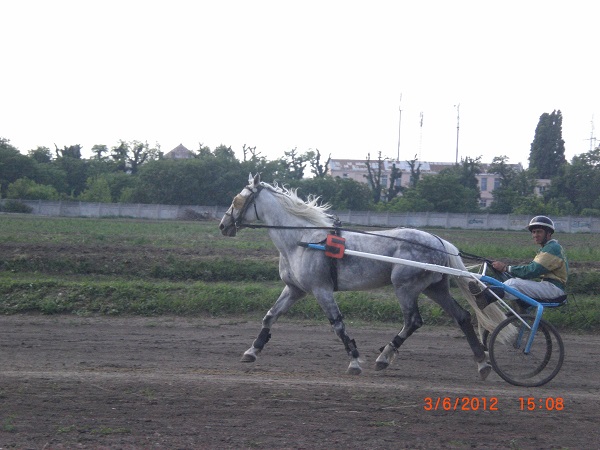 CIMG0803.JPG