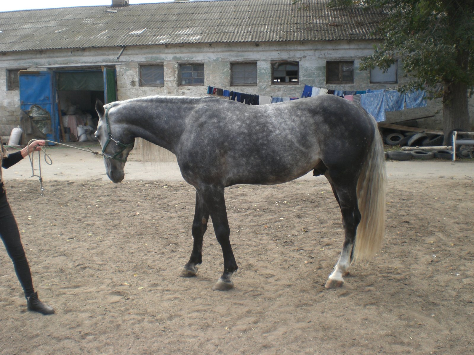 CIMG1279.JPG
