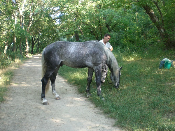 CIMG2787.JPG