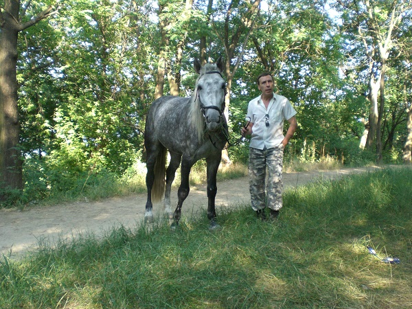 CIMG2790.JPG