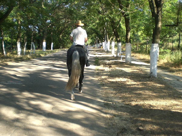 CIMG2798.JPG