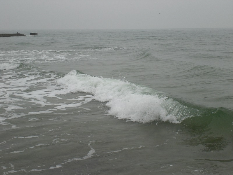 CIMG5884.JPG