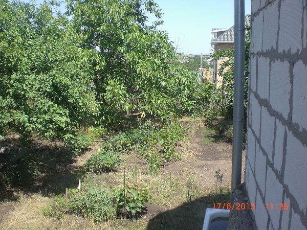 CIMG7076.JPG