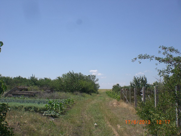 CIMG7079.JPG