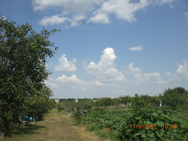 CIMG7085.JPG