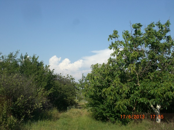 CIMG7092.JPG