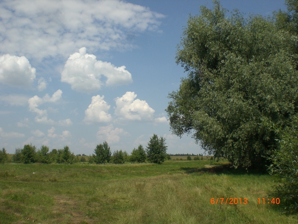 CIMG7445.JPG