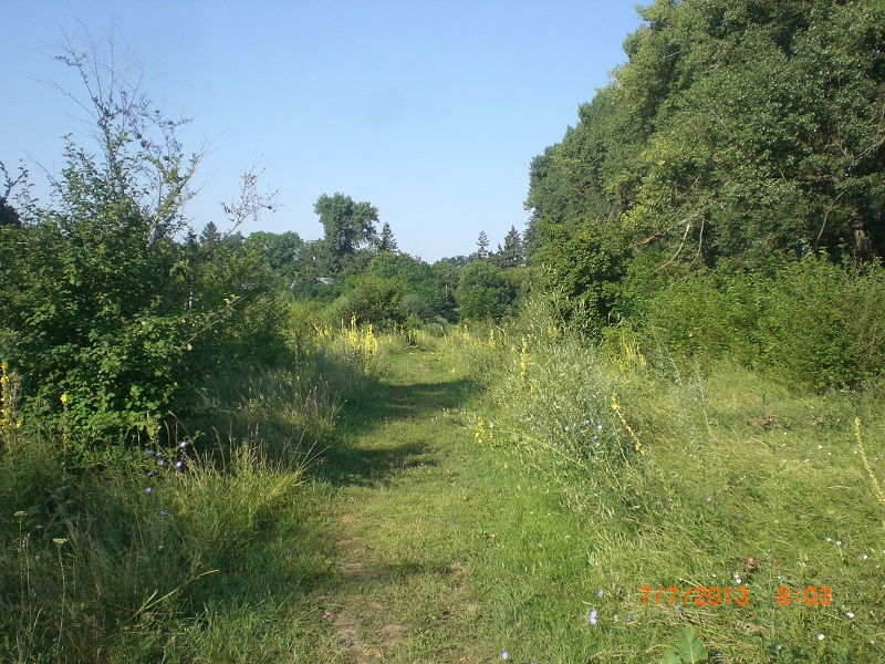CIMG7589.JPG