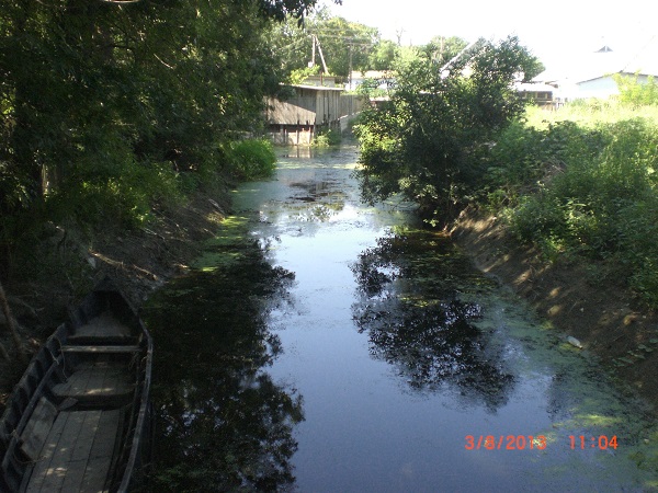 CIMG8327.JPG