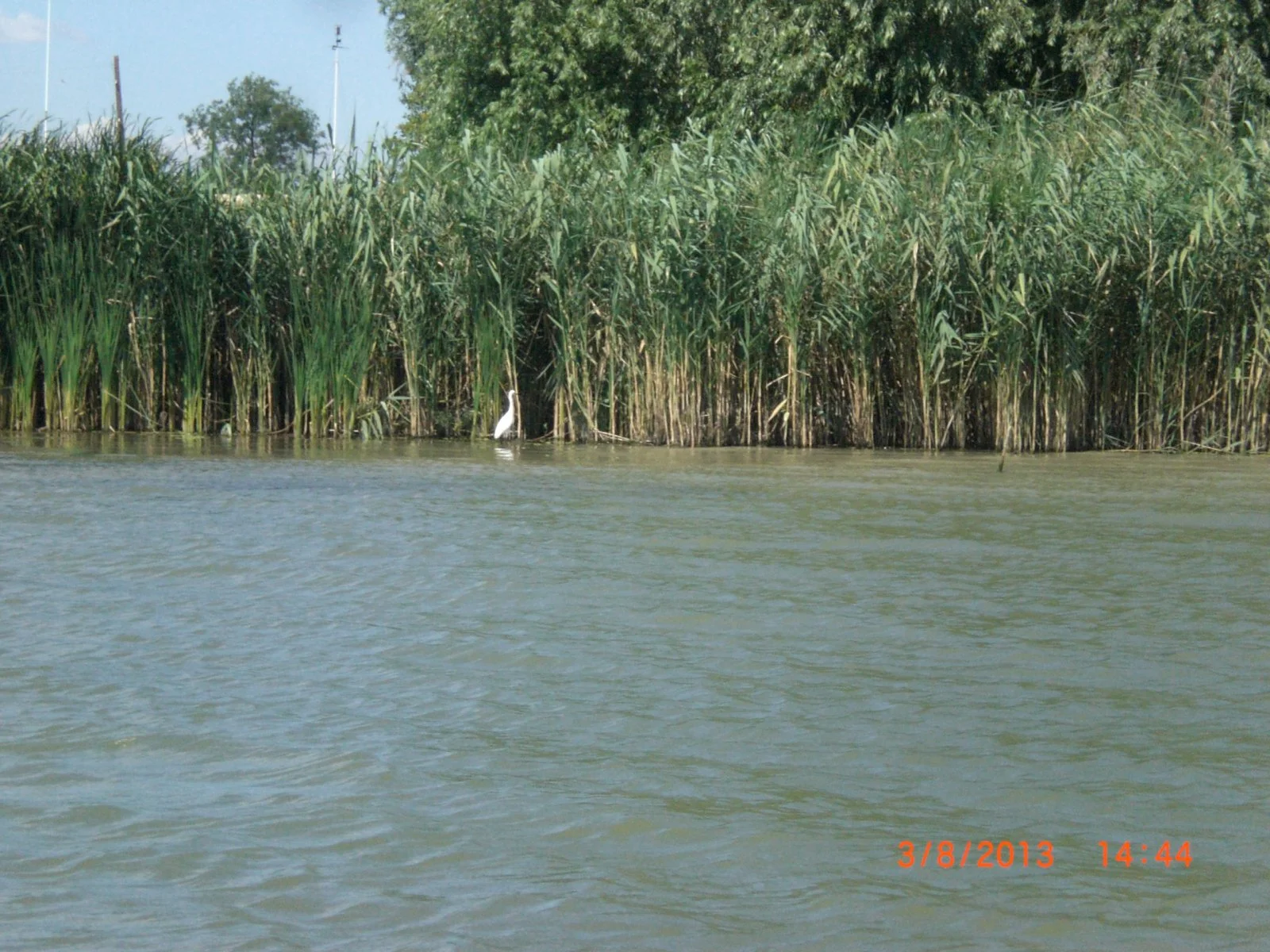 CIMG8421.webp