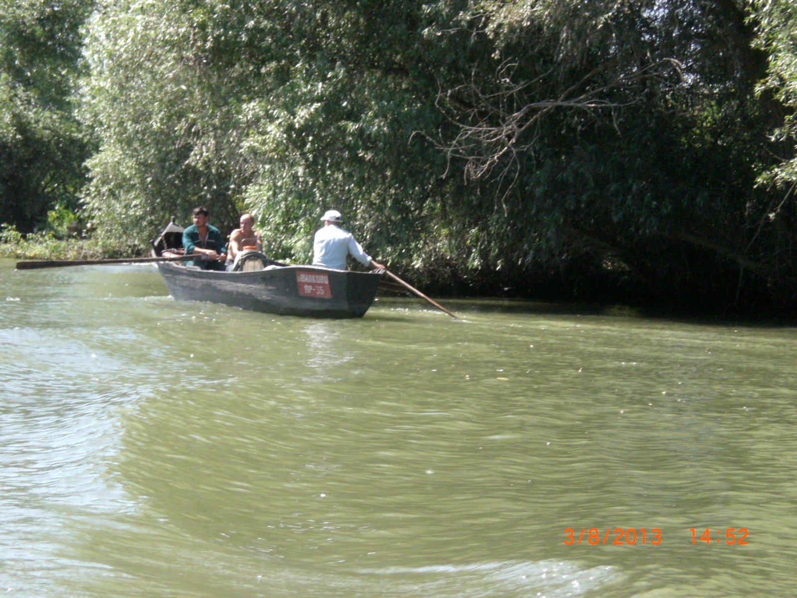 CIMG8432.JPG