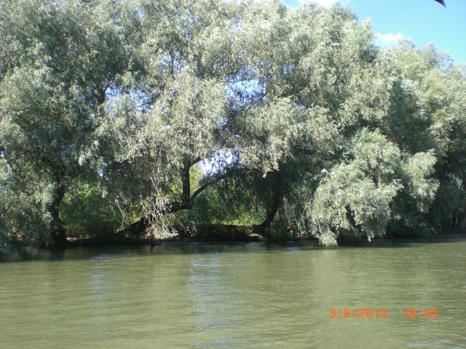 CIMG8454.JPG
