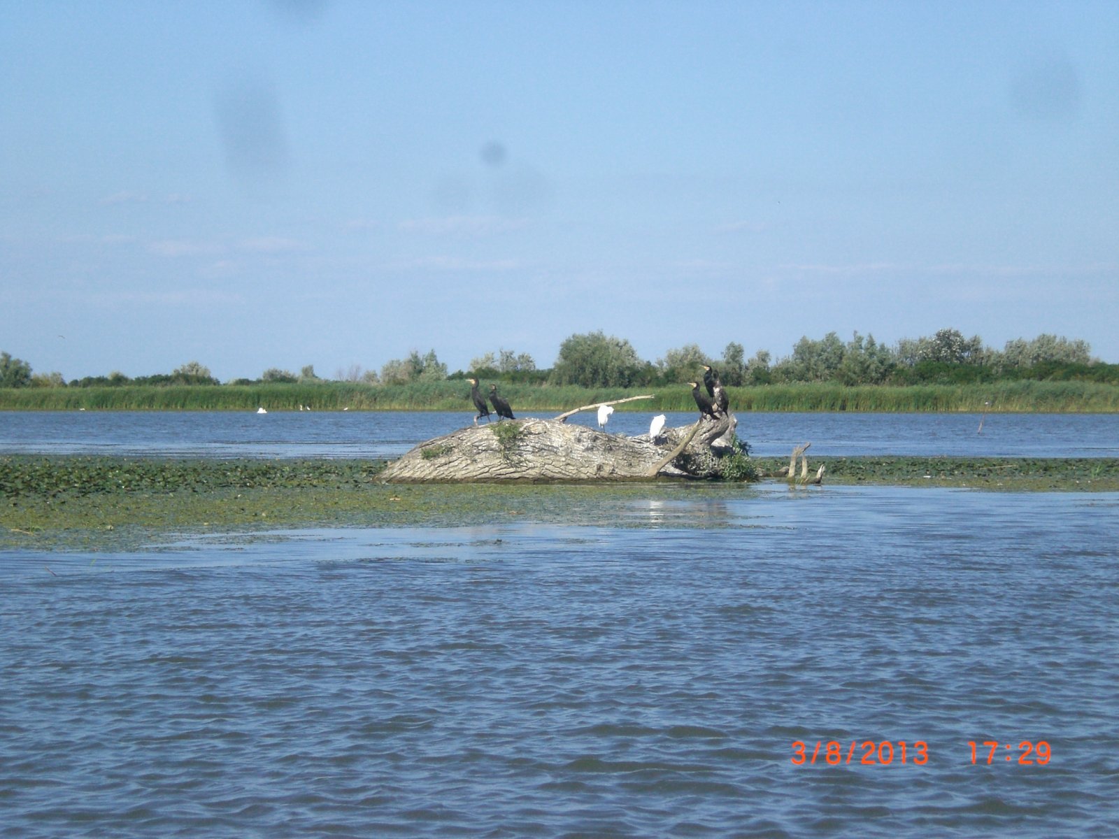 CIMG8486.JPG