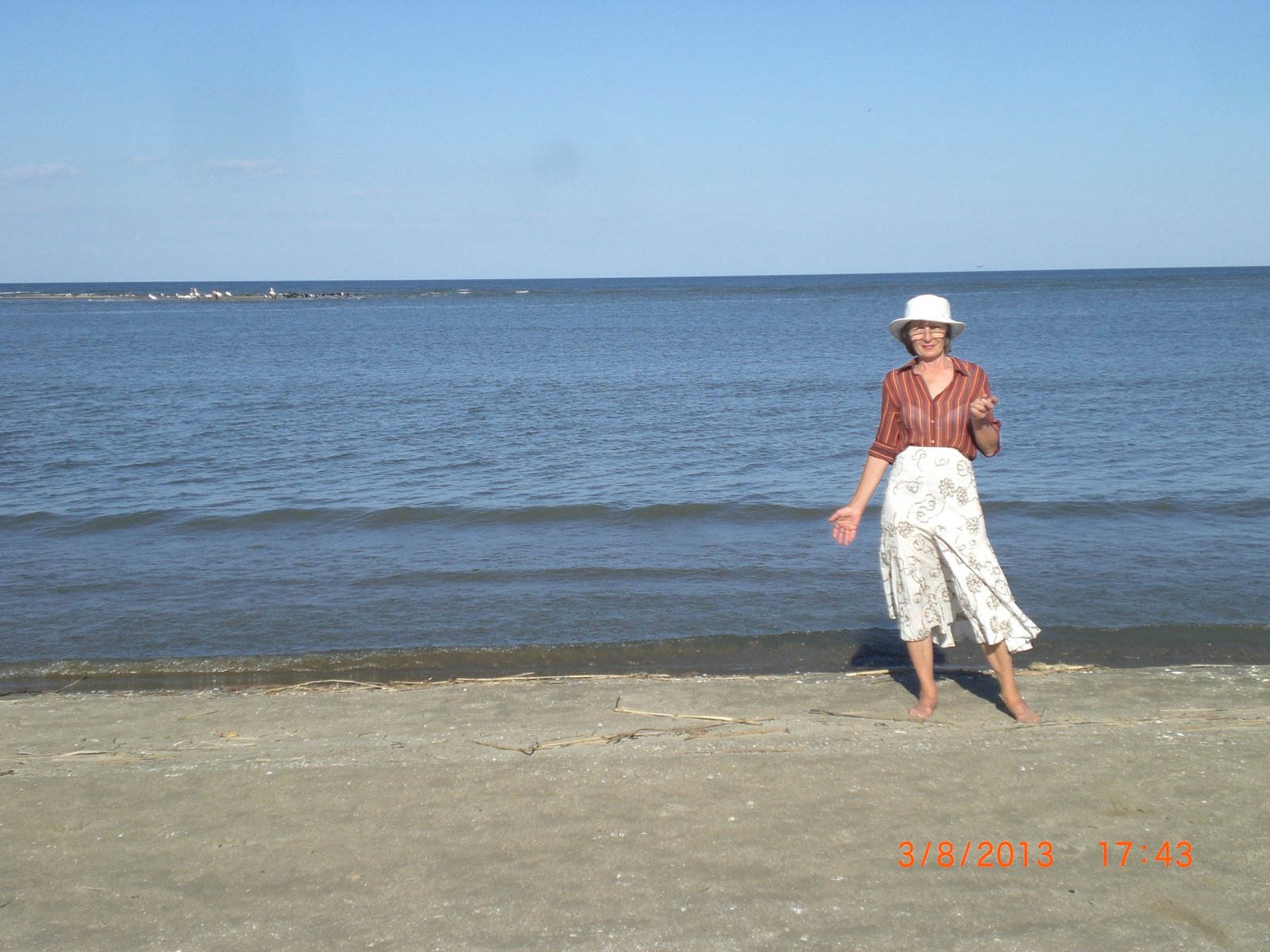 CIMG8511.JPG