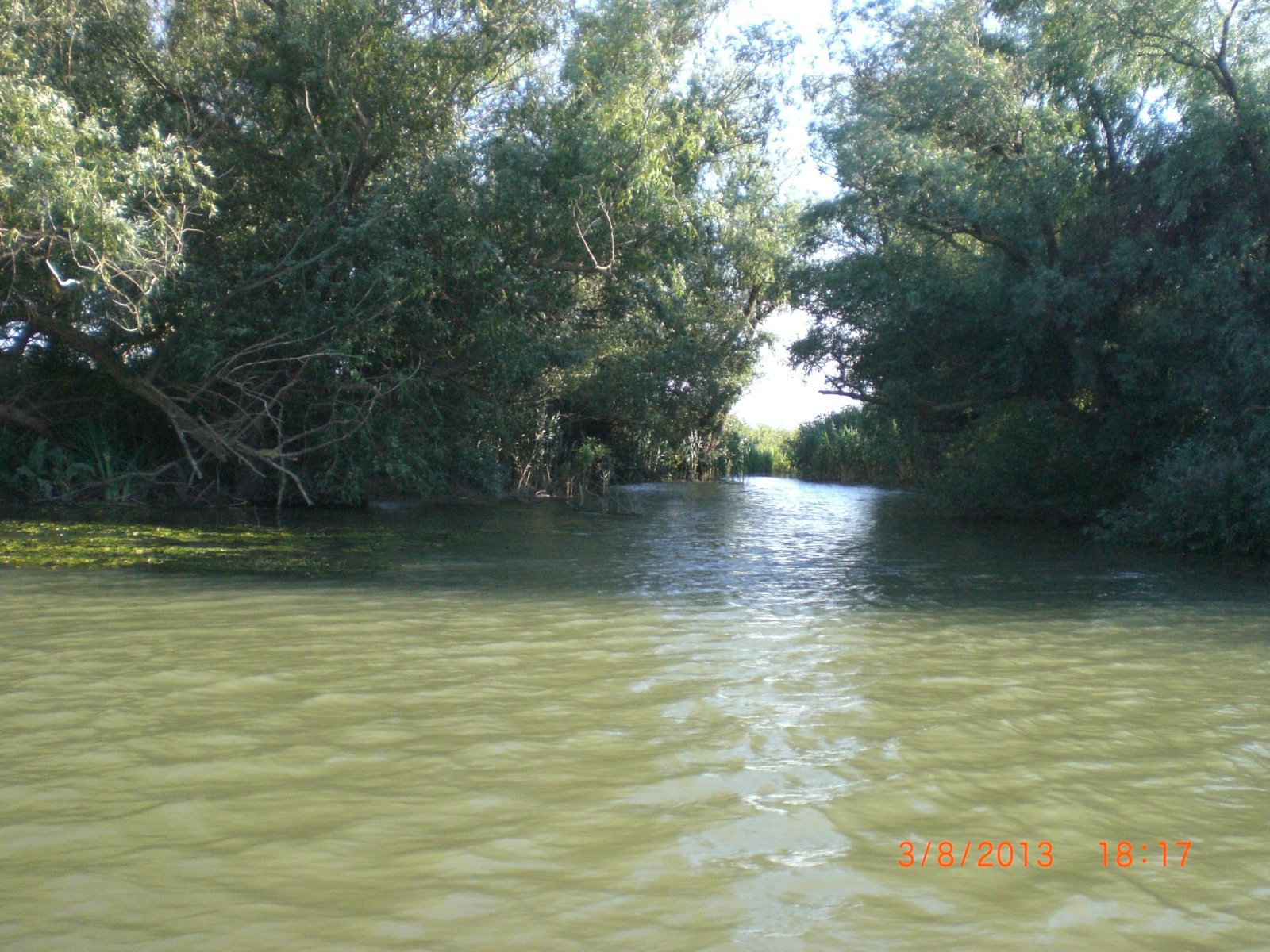 CIMG8570.JPG