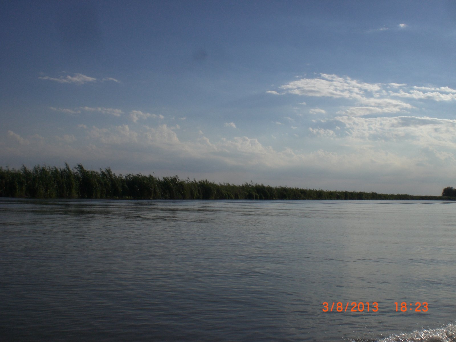 CIMG8576.JPG