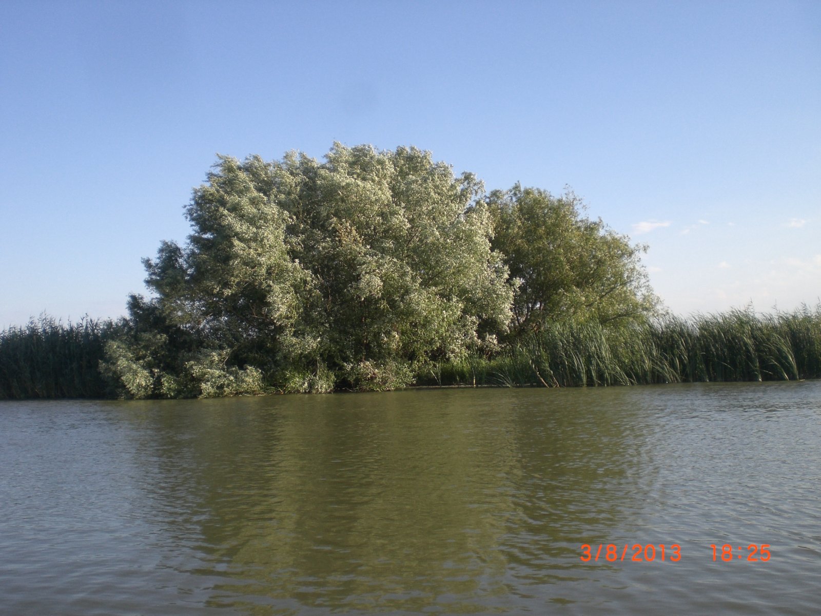 CIMG8578.JPG
