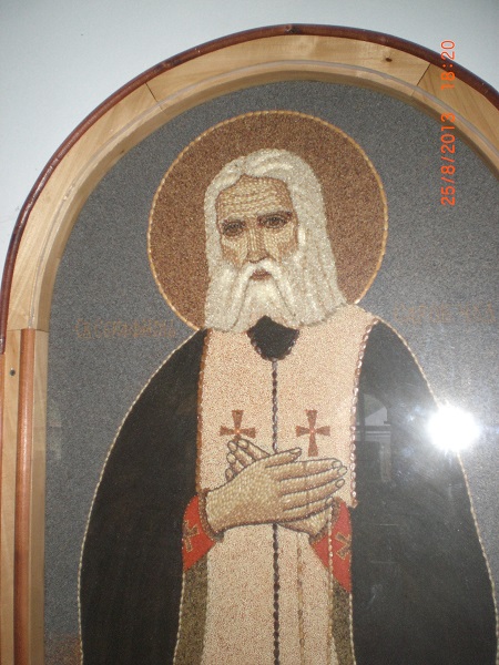 CIMG8995.JPG