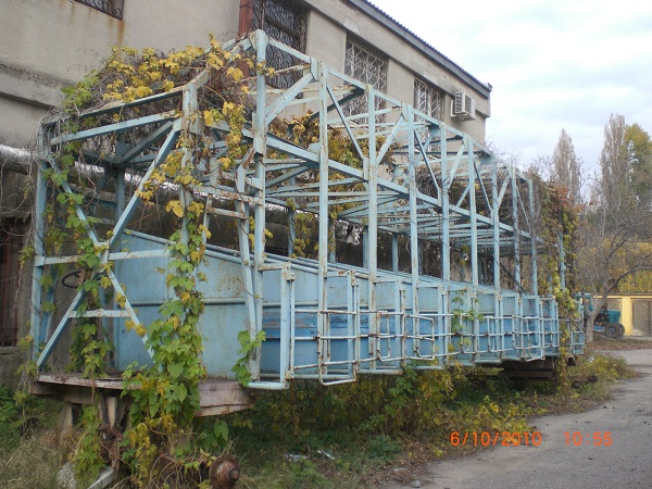 CIMG9542.JPG