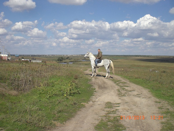 CIMG9795.JPG