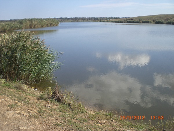 CIMG9947.JPG