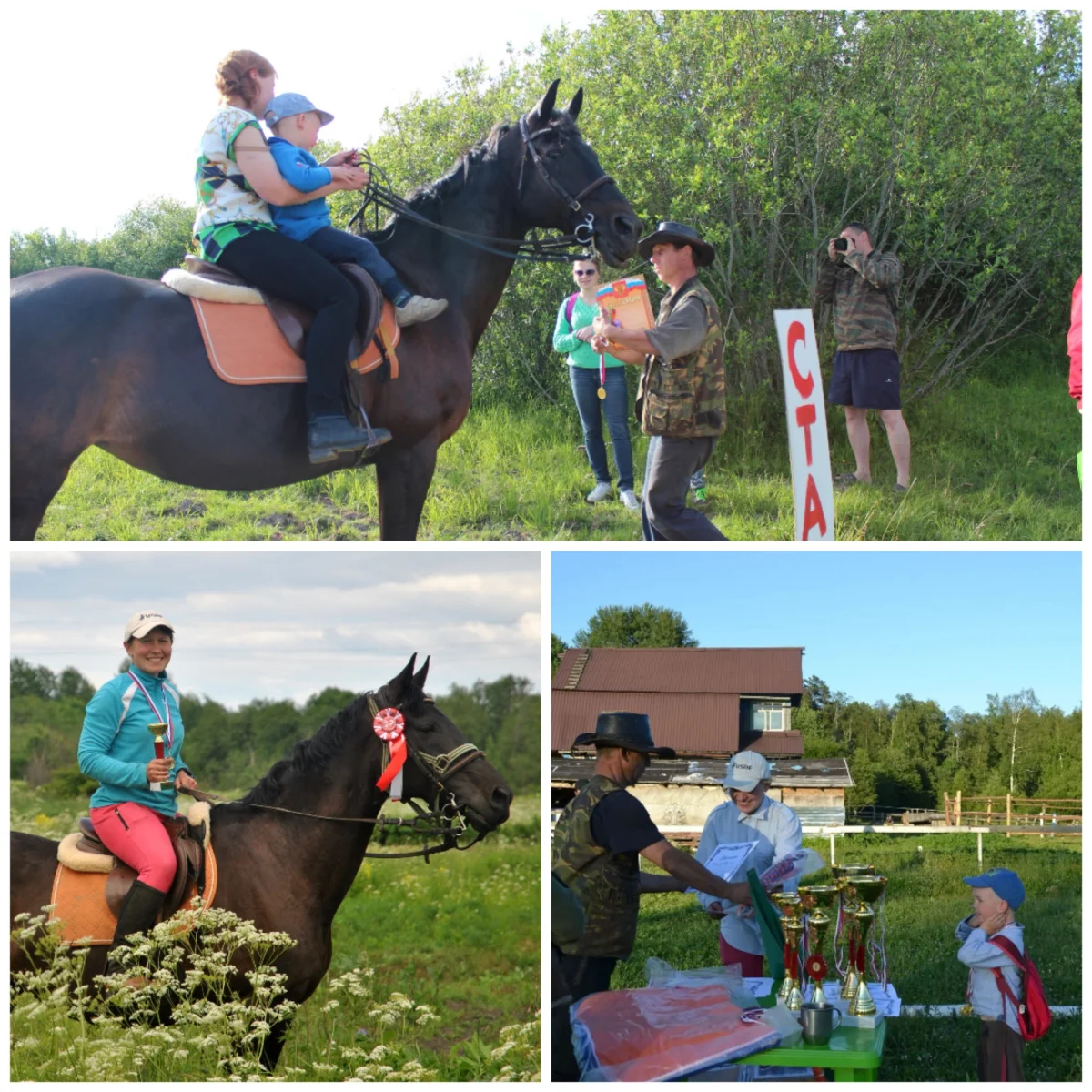 Collage_20260922_211635.webp