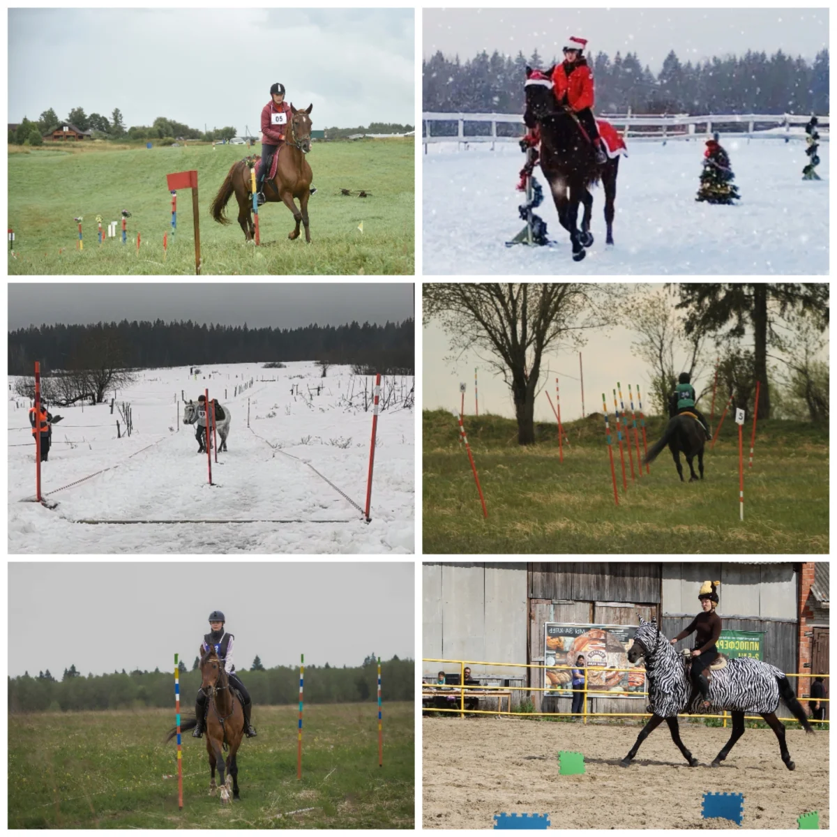 Collage_20261014_162534.webp