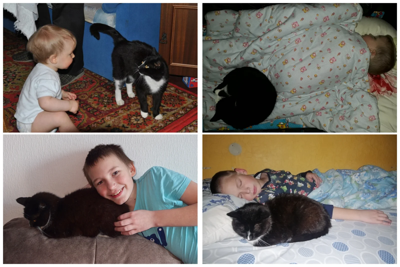 Collage_20261021_205714.webp